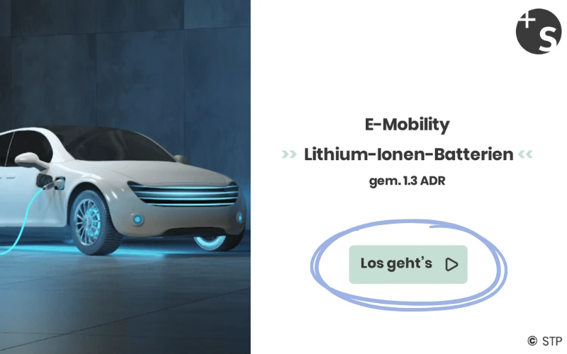 Online Training Elektroauto Demo Bilder