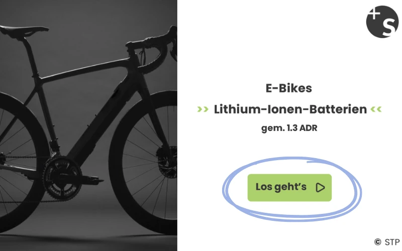 Online Training E-Bike Demo Bilder
