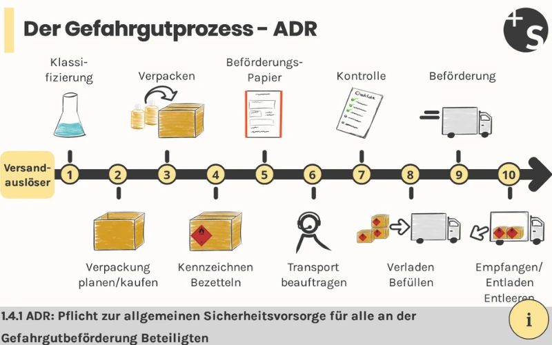 Gefahrgutprozess Darstellung GG für das Management